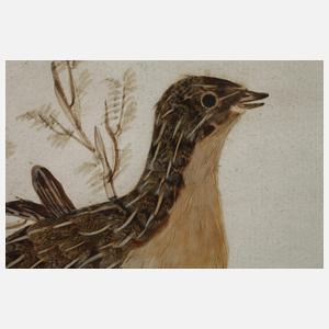 Drei Federbilder Biedermeier