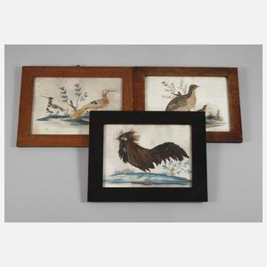 Drei Federbilder Biedermeier