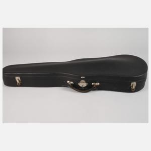 Viola im Etui