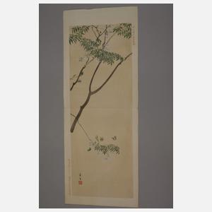 Konvolut grafische Arbeiten