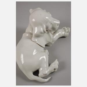 Allach "Junger Dackel liegend"