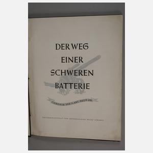 Buch "Der Weg einer schwarzen Batterie"