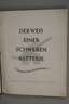 Buch "Der Weg einer schwarzen Batterie"