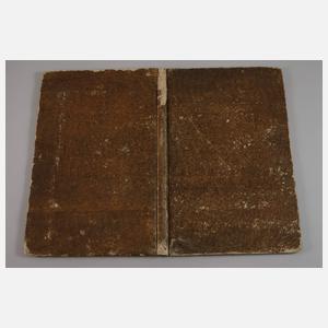 Gräflich Reuß-Plauischer Stamm-Baum 1681