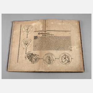 Gräflich Reuß-Plauischer Stamm-Baum 1681