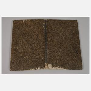 Gloriosus Serenissimae, Acregiae, et Electoralis