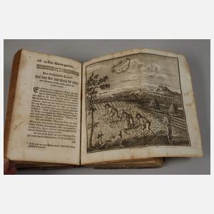 Abhandlung von Allerhand Samen-Werk