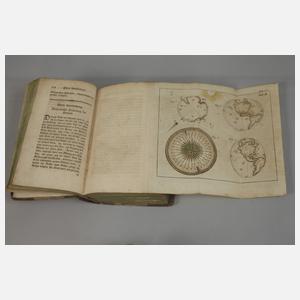 Kosmologische Unterhaltungen