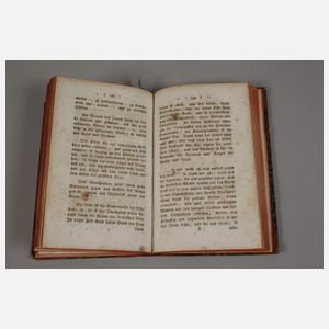 Sentenzen aus Jean Pauls und Hippels Schriften