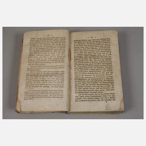 Die Hauptlehren der Physiognomik