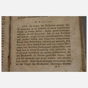 Die Hauptlehren der Physiognomik