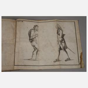 Die Hauptlehren der Physiognomik