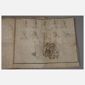 Die Hauptlehren der Physiognomik