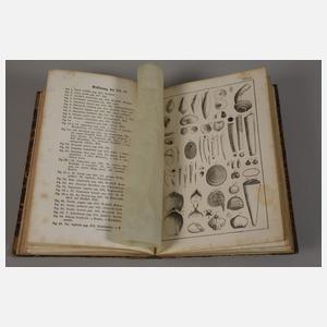 Handbuch der Petrefaktenkunde