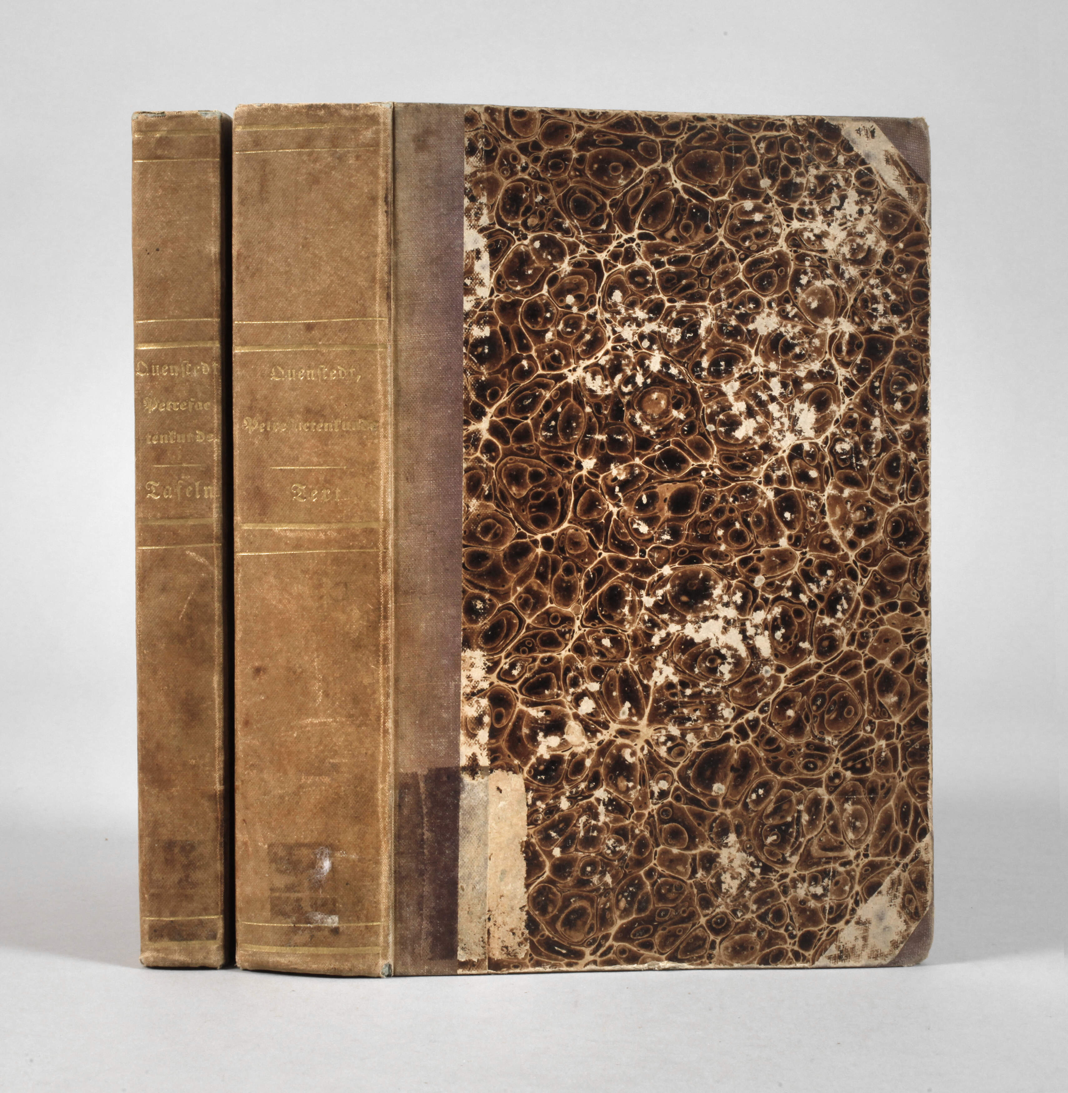 Handbuch der Petrefaktenkunde