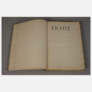 Fichte, Reden an die Deutsche Nation