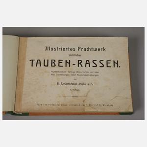 Schachtzabel Tauben-Rassen