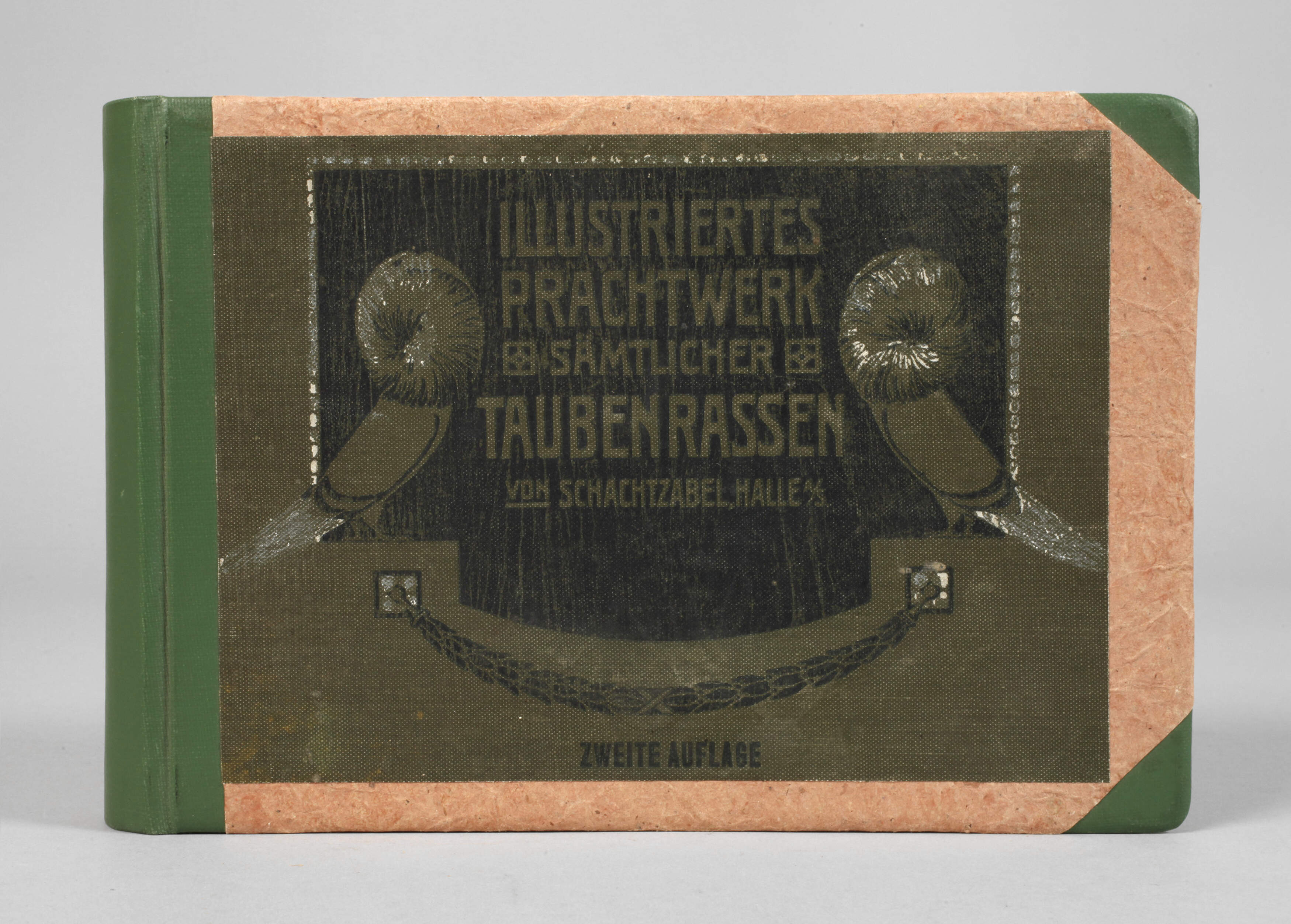 Schachtzabel Tauben-Rassen