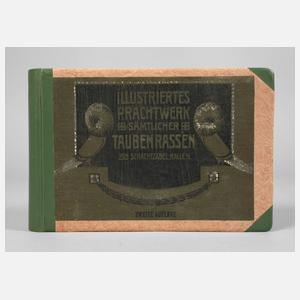 Schachtzabel Tauben-Rassen