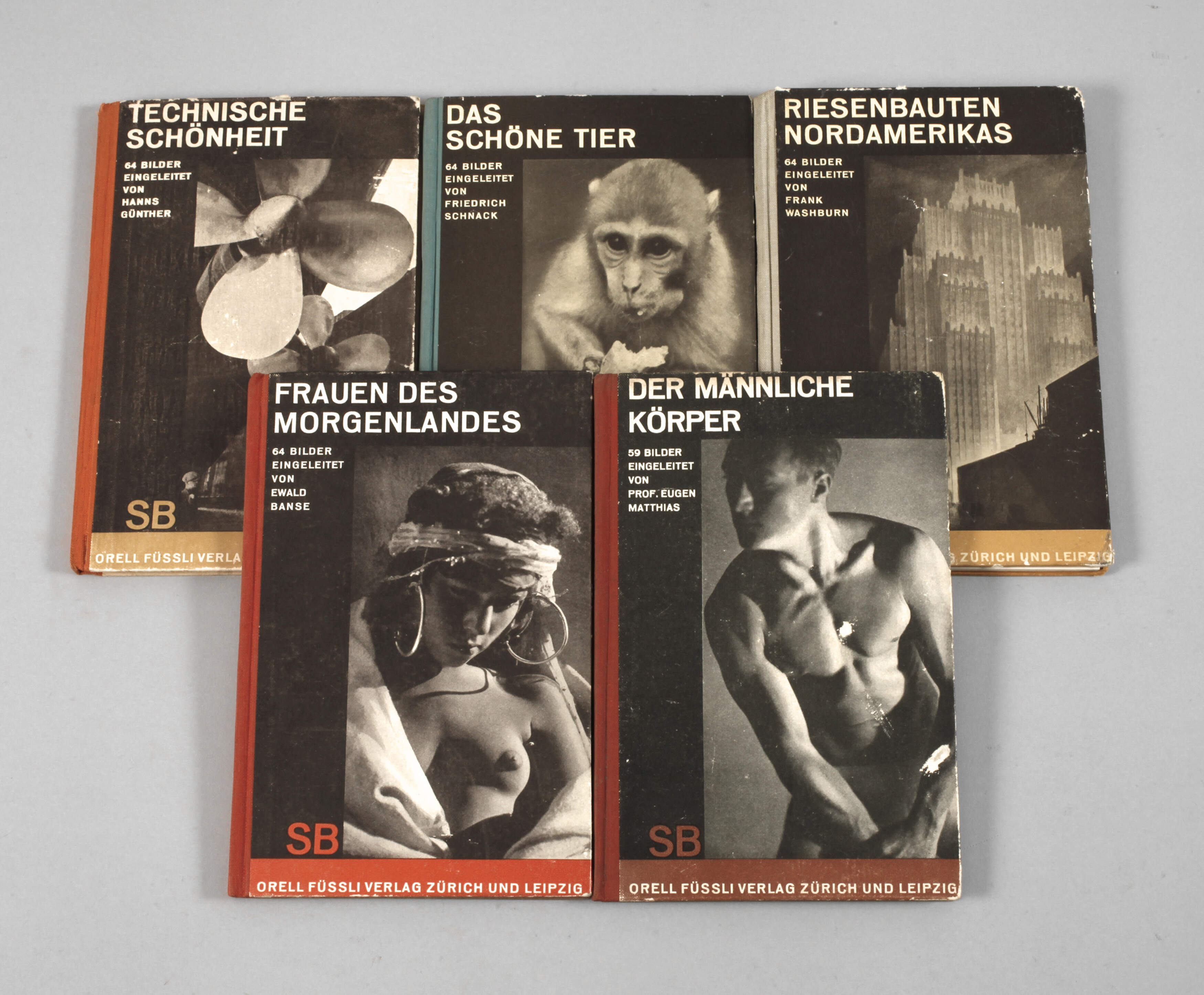 Fünf Fotobücher Füssli Verlag