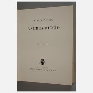 Monografie Andrea Riccio