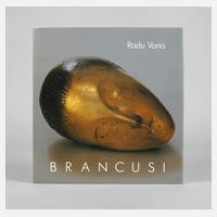 Brancusi111