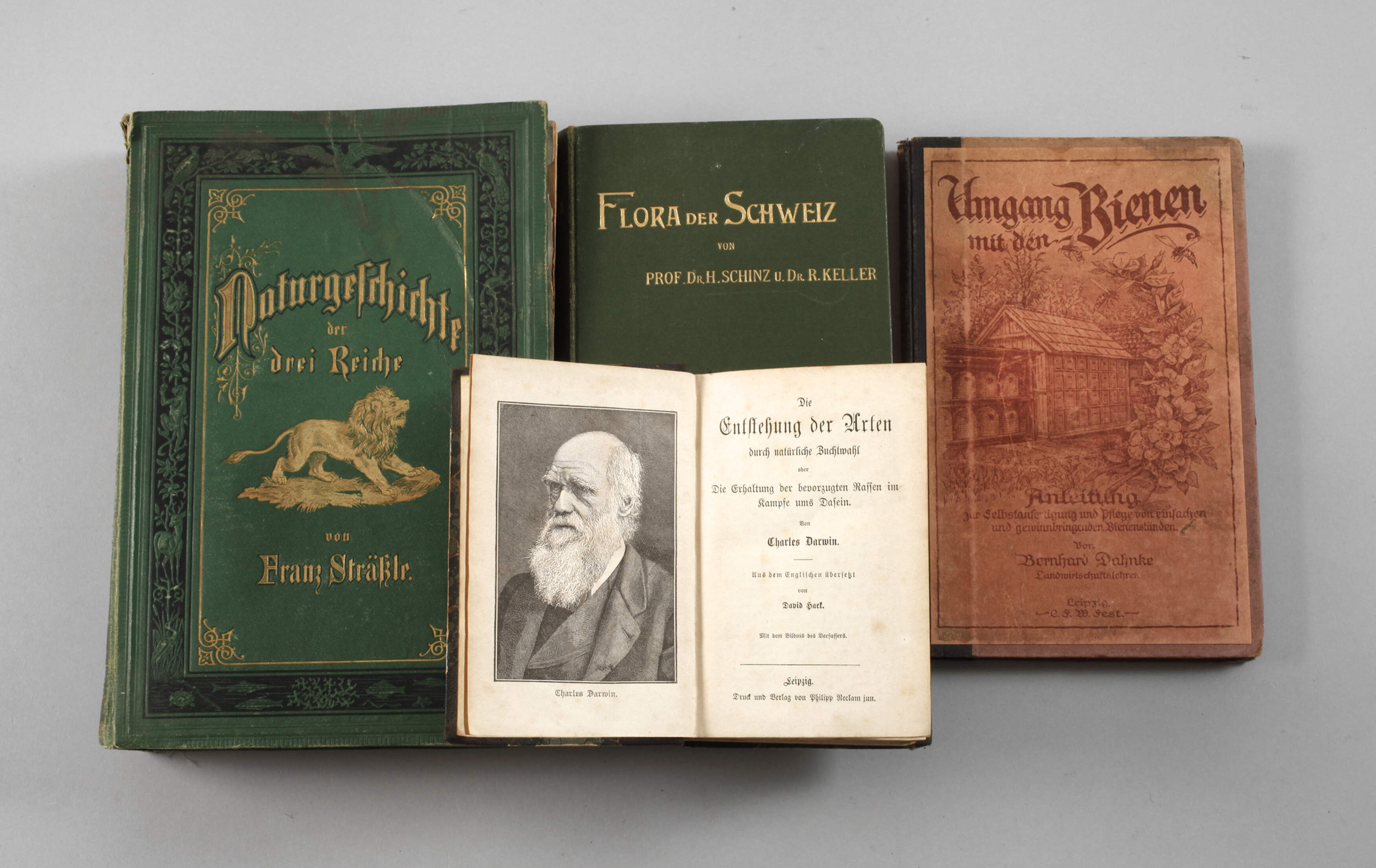 Konvolut Naturwissenschaft