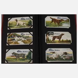 Gartmann Sammelalbum