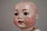 Hertel, Schwab & Co. große Porzellankopfpuppe