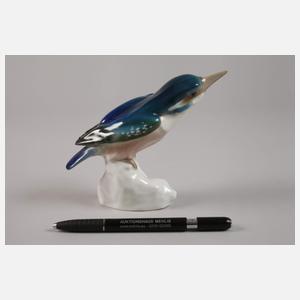 Meissen "Eisvogel, Kopf gestreckt"