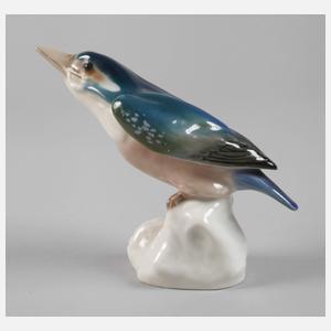 Meissen "Eisvogel, Kopf gestreckt"