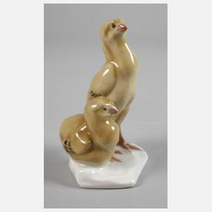 Meissen ”Junge Brahmahühner”