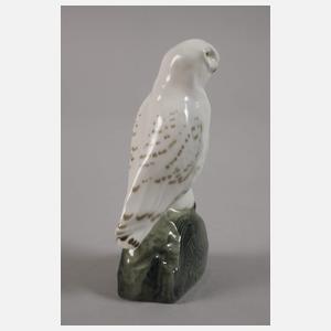 Meissen "Schnee-Eule"