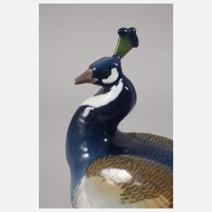 KPM Berlin "Hauspfau"