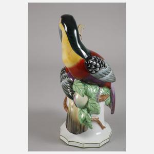 Fraureuth "Tukanengruppe"