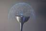 Fiber Optic Stehlampe