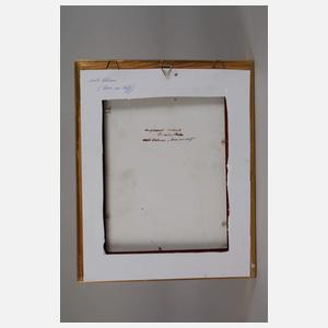 Bildplatte "Madame Molé Reymond"