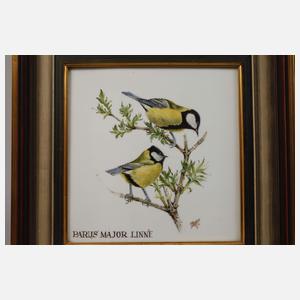 Paar Bildplatten einheimische Vogeldarstellungen