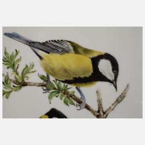 Paar Bildplatten einheimische Vogeldarstellungen