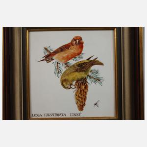 Paar Bildplatten einheimische Vogeldarstellungen