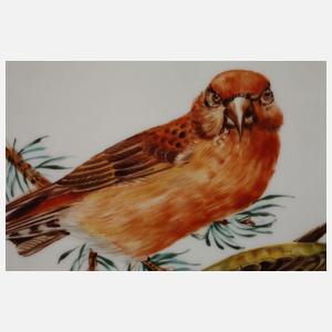 Paar Bildplatten einheimische Vogeldarstellungen