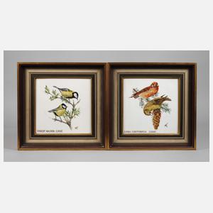 Paar Bildplatten einheimische Vogeldarstellungen