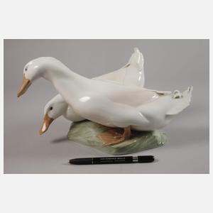 Kopenhagen Entenpaar