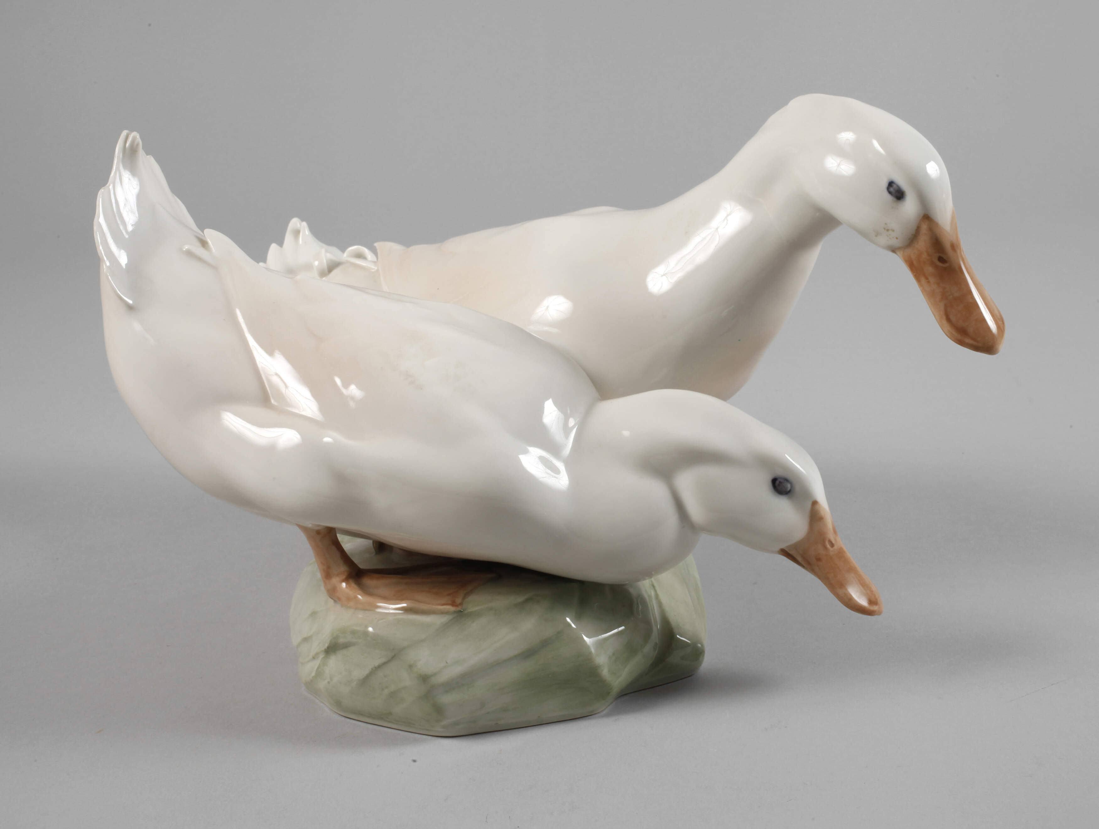 Kopenhagen Entenpaar