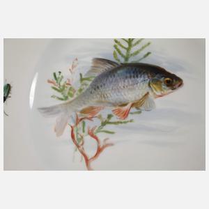 Meissen sechs Speiseteller "Fischmalerei"