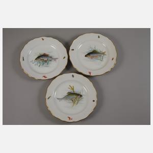 Meissen sechs Speiseteller "Fischmalerei"