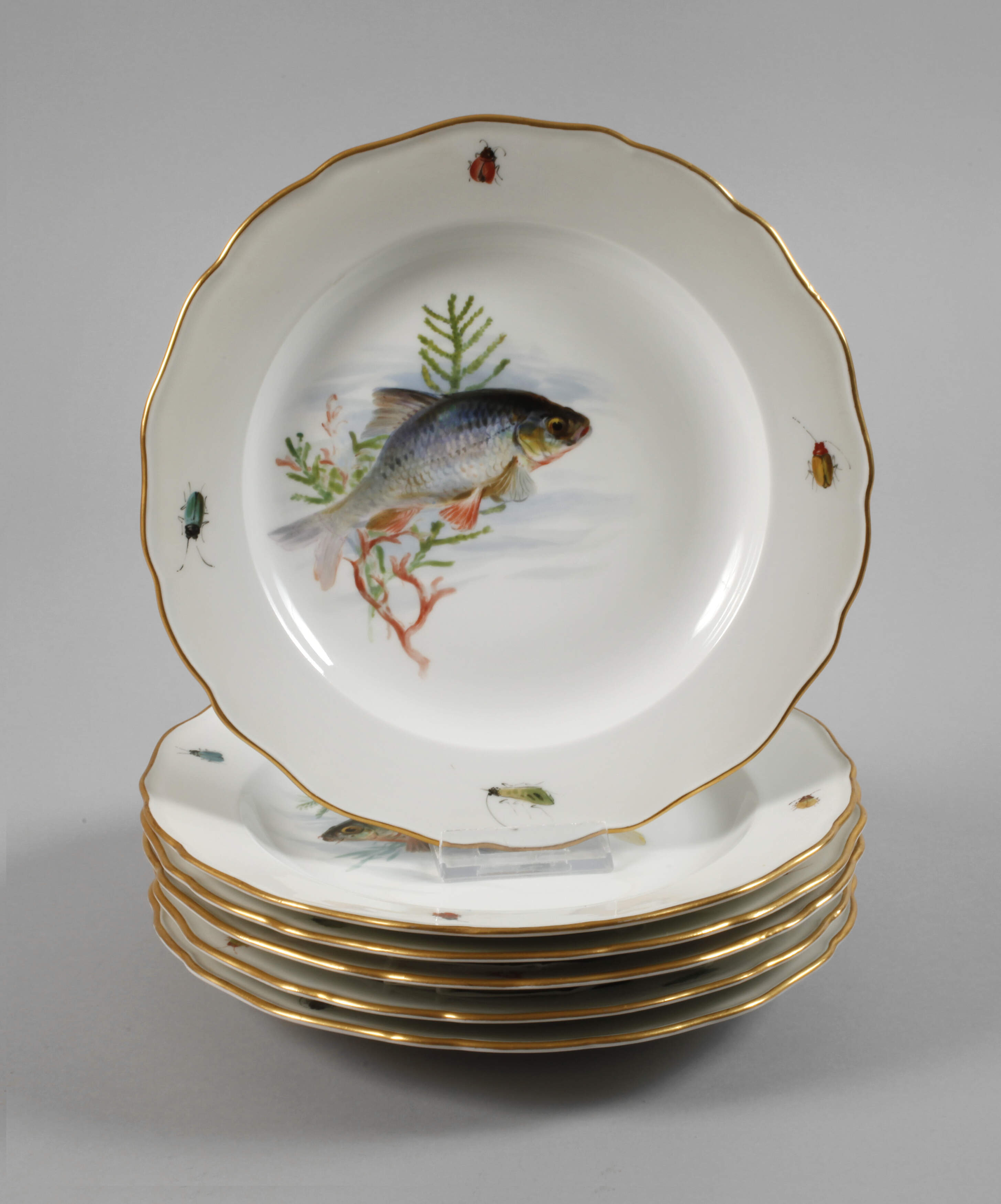 Meissen sechs Speiseteller "Fischmalerei"