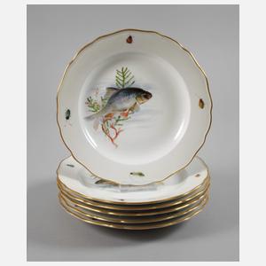 Meissen sechs Speiseteller "Fischmalerei"