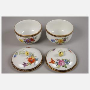 Meissen Kaffee-/Teeservice "Blumenbukett/Blaureif"