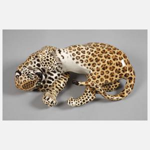 Nymphenburg "Panther, sich wälzend"